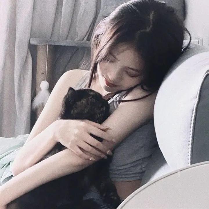 后宫